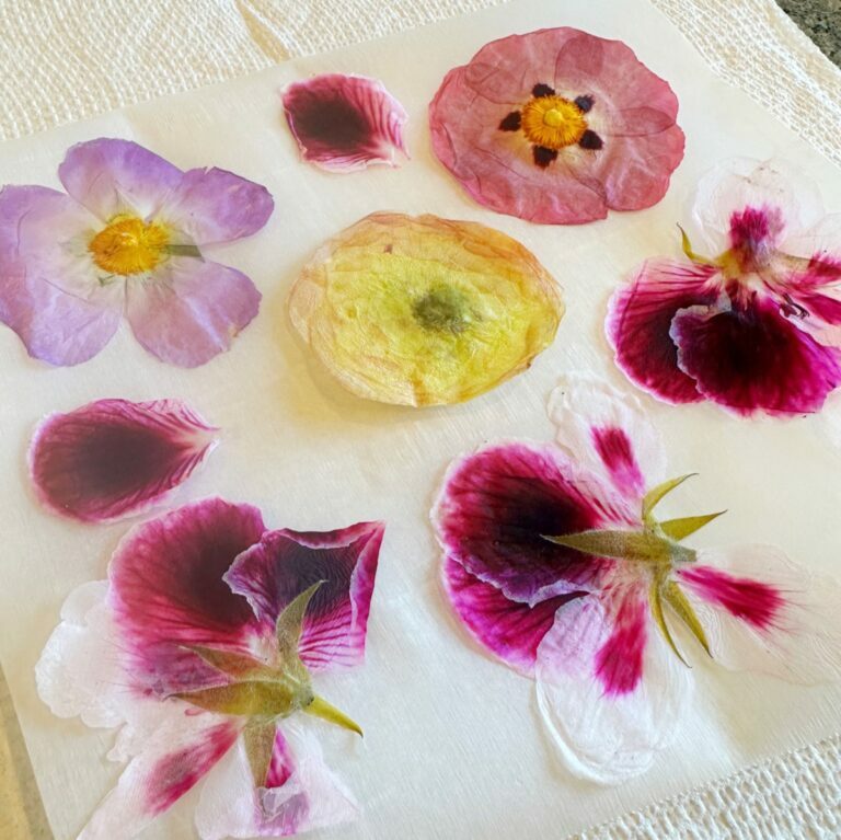 pressed flowers