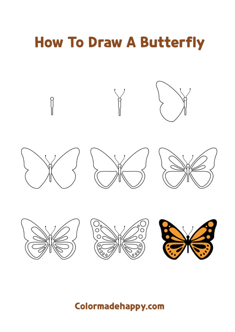 How to Draw a Butterfly: Step by Step