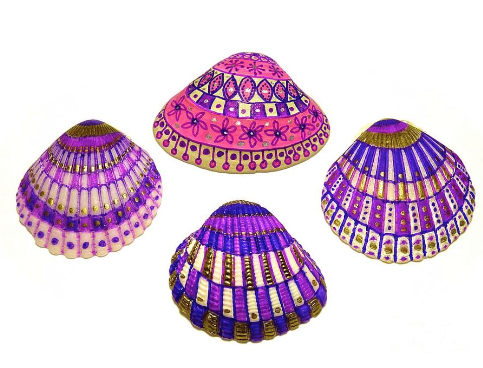 Unique seashell design ideas