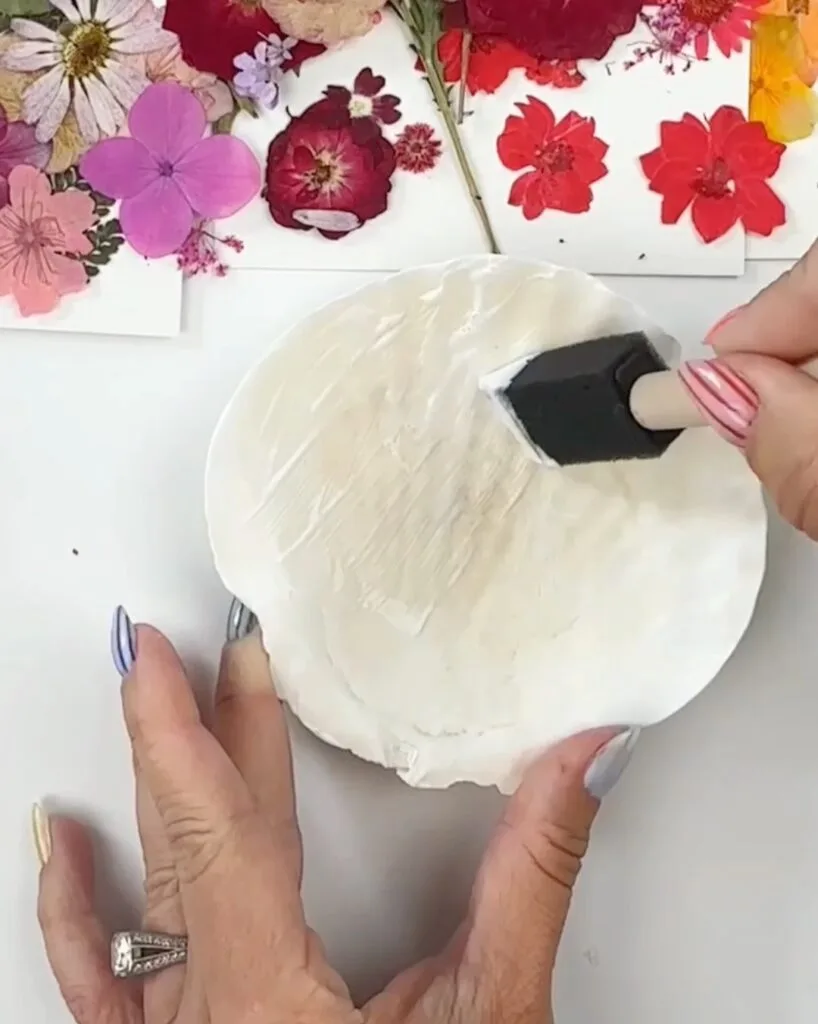 covering shell with mod lodge